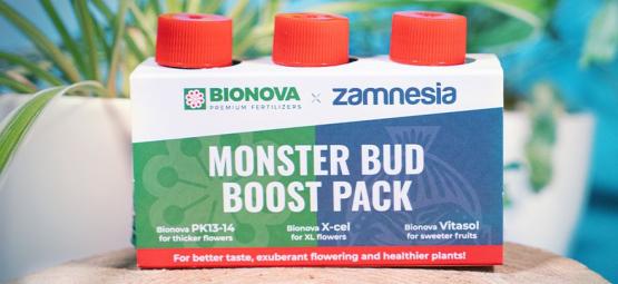 Utilisez Le Pack Monster Bud Boost Pour Obtenir Des Têtes Gargantuesques