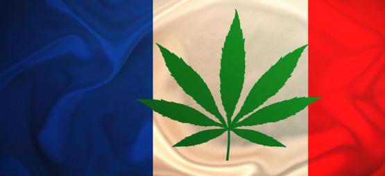 La France Va Offrir Gratuitement Du Cannabis En 2021