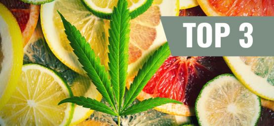 Top 3 Des Variétés De Cannabis Par Terpènes