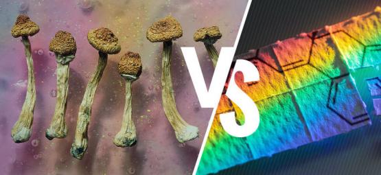 Champignons Magiques Ou LSD : Quelle Différence ?