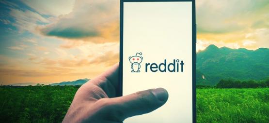 Top 10 Des Communautés Reddit Sur L’Herbe