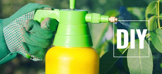 Comment Préparer Des Pesticides Naturels Pour Plants De Piment