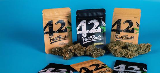 FastBuds : Une Weed Qualité Dispensaire En Un Temps Record