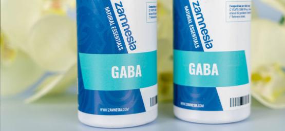 Guide Complet Sur Le GABA (Acide Y-Aminobutyrique)