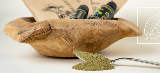 Tout ce qu'il faut savoir sur le kratom