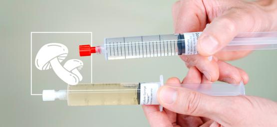 Comparaison : Seringues De Culture Liquide Vs Seringues De Spores