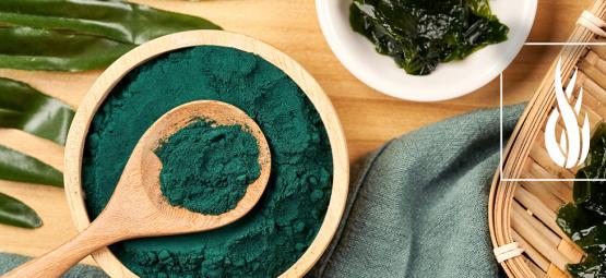 Tout Ce Qu'Il Faut Savoir Sur La Spiruline