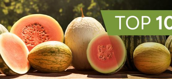 Top 10 Des Variétés De Melon Spéciales