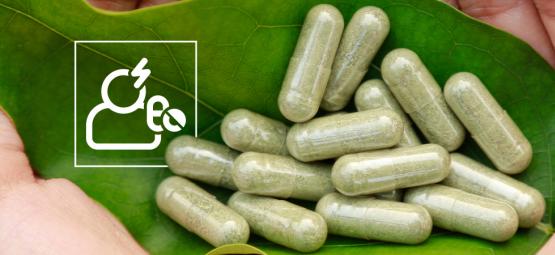 Sécurité & effets secondaires du kratom : tout savoir