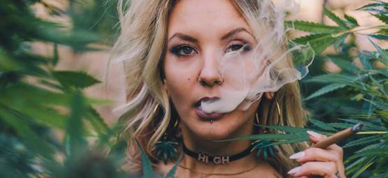 Le cannabis et l'ère numérique : les influenceurs qui façonnent l'industrie