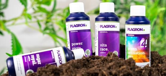 Meilleurs engrais organiques pour la culture de cannabis