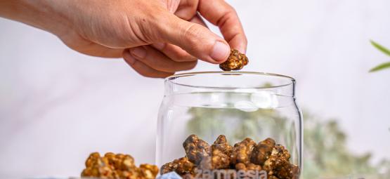 Comment conserver les truffes magiques ?