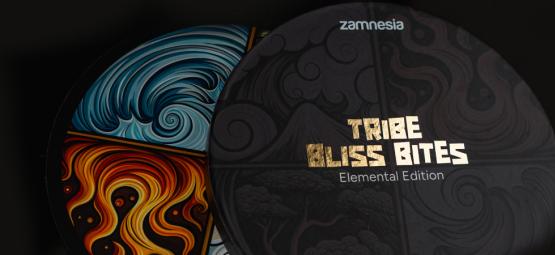 TRIBE Bliss Bites Édition Élémentaire : Choisissez votre humeur, partagez le voyage