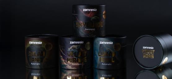 TRIBE chez Zamnesia : cultivez l’exceptionnel, l’audacieux, la légende