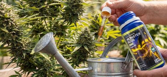 Maximisez la croissance avec Monster Buds : une gamme complète d’engrais pour chaque phase de croiss