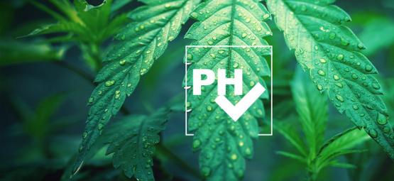 Comment Ajuster Le Niveau Du pH Dans Une Culture De Cannabis
