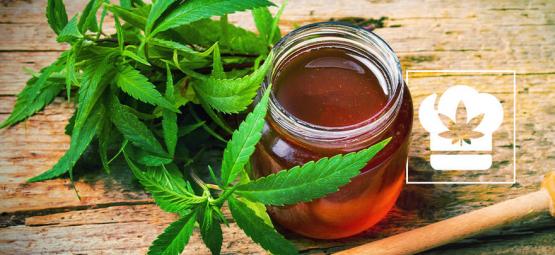 Recette : comment faire du miel au cannabis