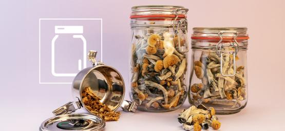 Comment Conserver Les Champignons Magiques