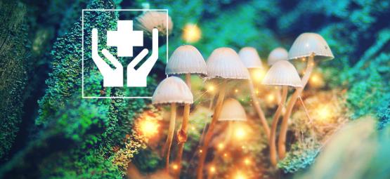 5 Bienfaits Surprenants des Champignons Magiques