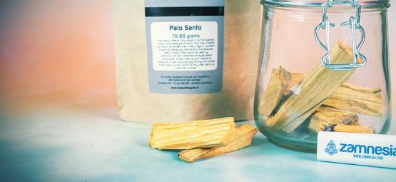 Pourquoi Et Comment Utiliser Le Bois De Palo Santo