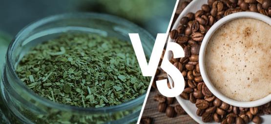 Yerba Maté Vs. Café : Devriez-Vous Changer ?