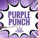 Purple Punch : Saveur, Puissance Et Beaut&eacute;&mdash;Tout-En-Un