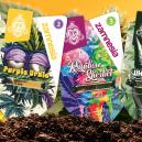 Showcase Des Nouvelles Vari&eacute;t&eacute;s Zamnesia : Perles Rares