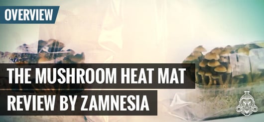 Le Mushroom Heat Mat par Zamnesia 