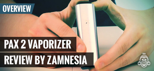 Le Vaporisateur Pax2 par Ploom