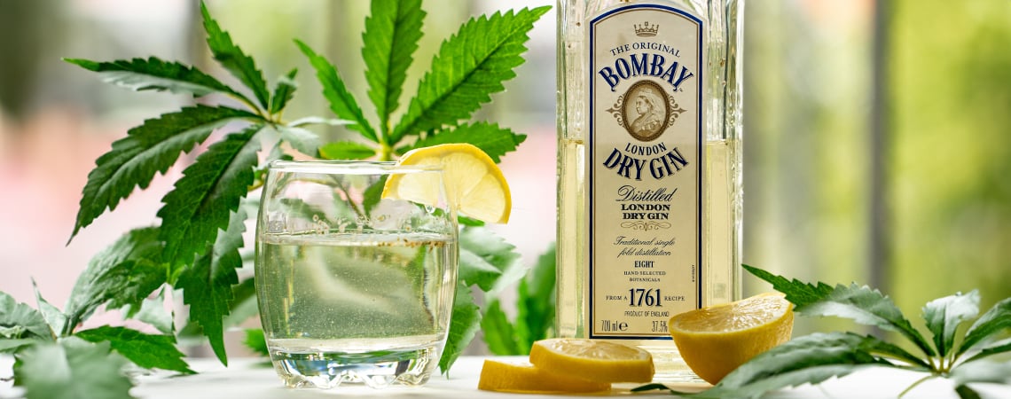 Comment faire un ginjah : gin-tonic au cannabis